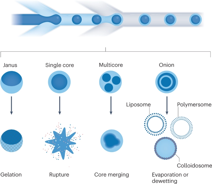 Physiology Conferences Physiology Conferences